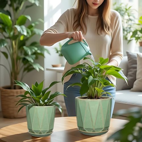 Ceramic Pots for Plants, 8+6 inch Plant Pots with Drainages Holes & Saucers - Image 5