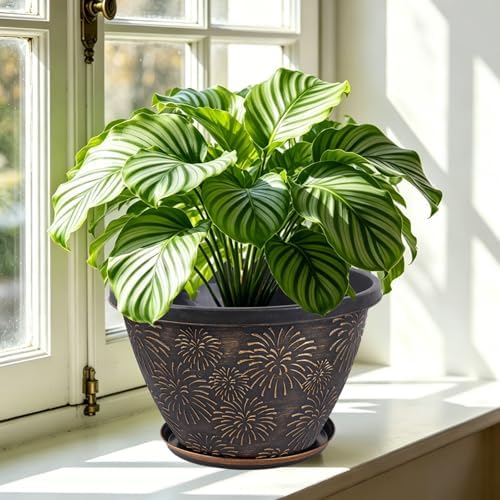 Nooulap 4 Pack 10 Inch Plant Pots Drainage Holes and Saucers - Image 2