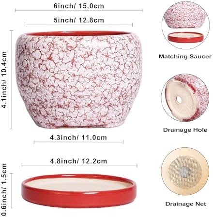 SQOWL 6 Inch Plant Pot - Ceramic Planter for Indoor Outdoor, Round Decorative Plant Pot with Drainage Hole and Saucer, Small Flower Planter, Home Balcony Decor, Gifts for Women Men, Red and White - Image 3