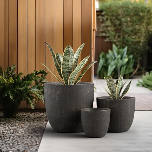 Kante Set of 3 Vintage BRN Concrete Bowl Planters 18" 14" 10" Dia - Image 5