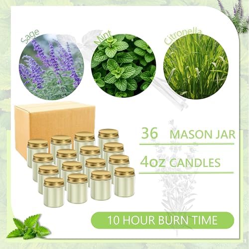 ACITHGL 36 Pcs 4oz Mini Mason Jar Candles Small Scented Candles Bulk Aromatherapy Ideal Souvenir Favors for Wedding Birthday Party (Sage, Mint, Citronella, Gold) - Image 3