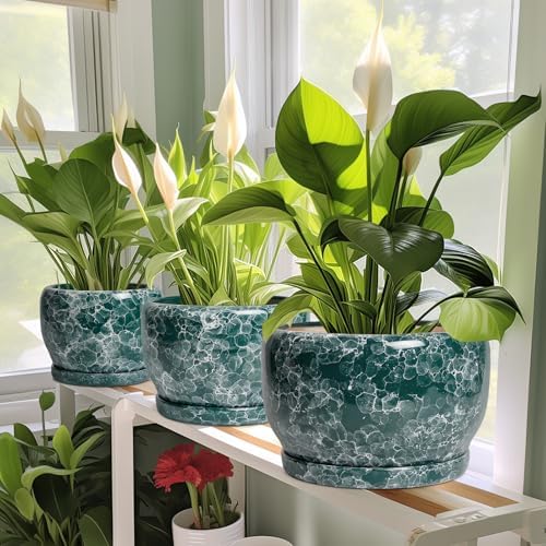 SQOWL 10 Inch Plant Pot - Ceramic Planter for Indoor Plants Outdoor, Large Ceramic Flower Pot with Drainage Hole and Saucer, Decorative Round Planter, Living Room Decor, Gifts for Women Men, Green - Image 6