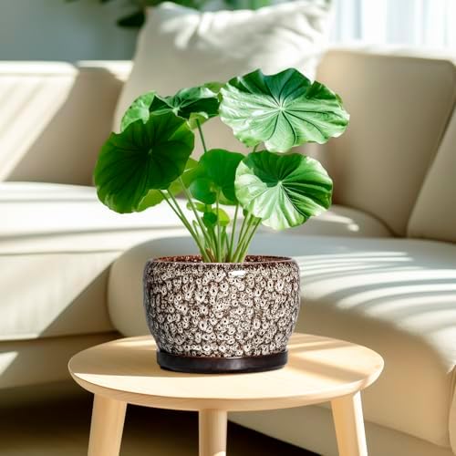 SQOWL Ceramic Planter - 8 inch Plant Pot Indoor with Drainage Hole and Plant Saucer, Round Ceramic Flower Pots Outdoor, Decorative Modern Planter, Office Kitchen Decor, Gifts for Women Men, White - Image 2