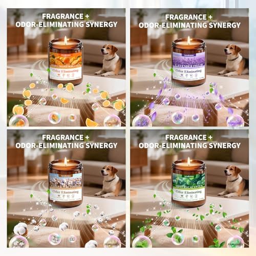 4-Pack Odor Eliminating Candles, 28 oz Soy Scented Candle - Image 6