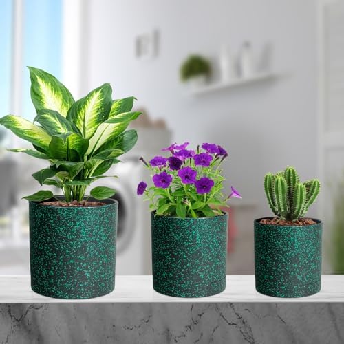 Meowell 6/5/4 inch Plant Pots, 3 Pack Cylinder Flower Pots for Small Indoor Outdoor Plants, Plastic Planters with Drainage Holes and Saucers for Garden Succulent Plants, Black with Green Speckles - Image 7