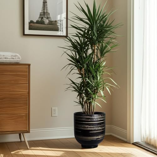 HERDUK Large Black Ceramic Planter for Indoor Trees, Modern Indoor Floor Planter Pot for Olive Trees & Faux Olive Trees, Pottery Planter with Drainage for Real Plants - Image 5