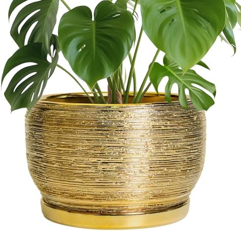 SQOWL Ceramic Planter for Indoor Plants - 10 Inch Plant Pot with Drainage Hole and Saucer, Modern Round Planter Outdoor, Large Decorative Flower Pot, Apartment Decor, Birthday Gifts, Gold by SQOWL