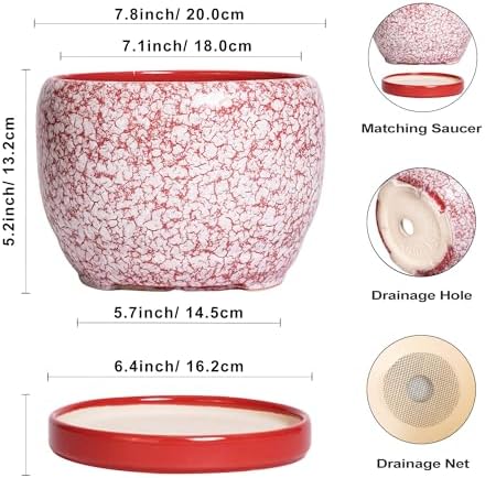 SQOWL Ceramic Pots for Plants - 8 inch Indoor Planter with Drainage Hole and Tray, Ceramic Flower Pot Outdoor, Round Decorative Planter, Bedroom Decor, Gifts for Plant Lovers, Red and White - Image 3
