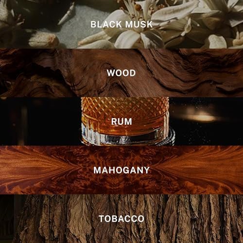 Hotel Lobby Paris Nuit Reed Diffuser – Long Lasting – Black Musk, Sandalwood, Cognac & Tobacco – Refillable Glass Vessel – 9 Diffuser Reeds – Made in USA – 5.0 fl oz (150ml), 10 ¾” H - Image 3