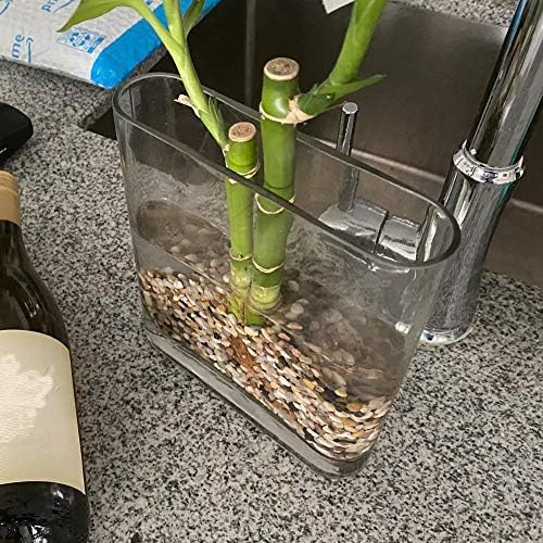 WGV Tall Rectangle Block Vase Bulk, Width 3", Length 7", Height 8", Clear Round Glass Floral Container Wedding Party Event Home Office Decor, 12 Pieces - Image 3