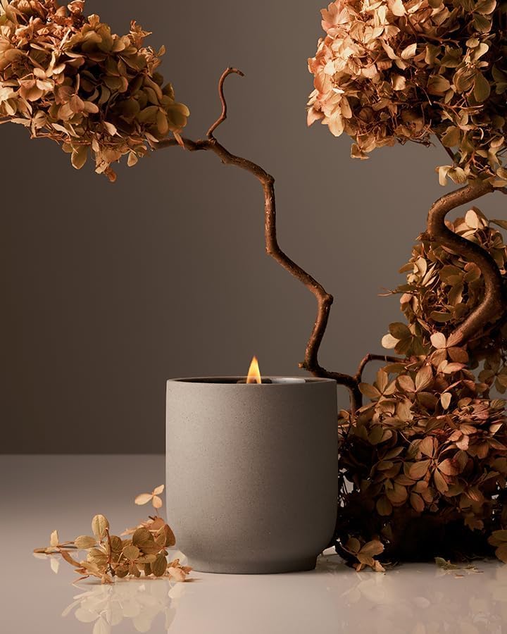 Homecourt by Courteney Cox Luxury Scented Candle, Cece, 8 oz by Homecourt