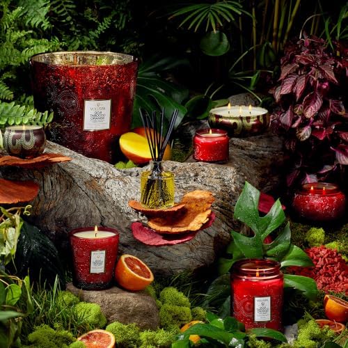 Voluspa Goji Tarocco Orange Large Scented Candle Jar 18 Oz, 100 Hr Burn - Image 6